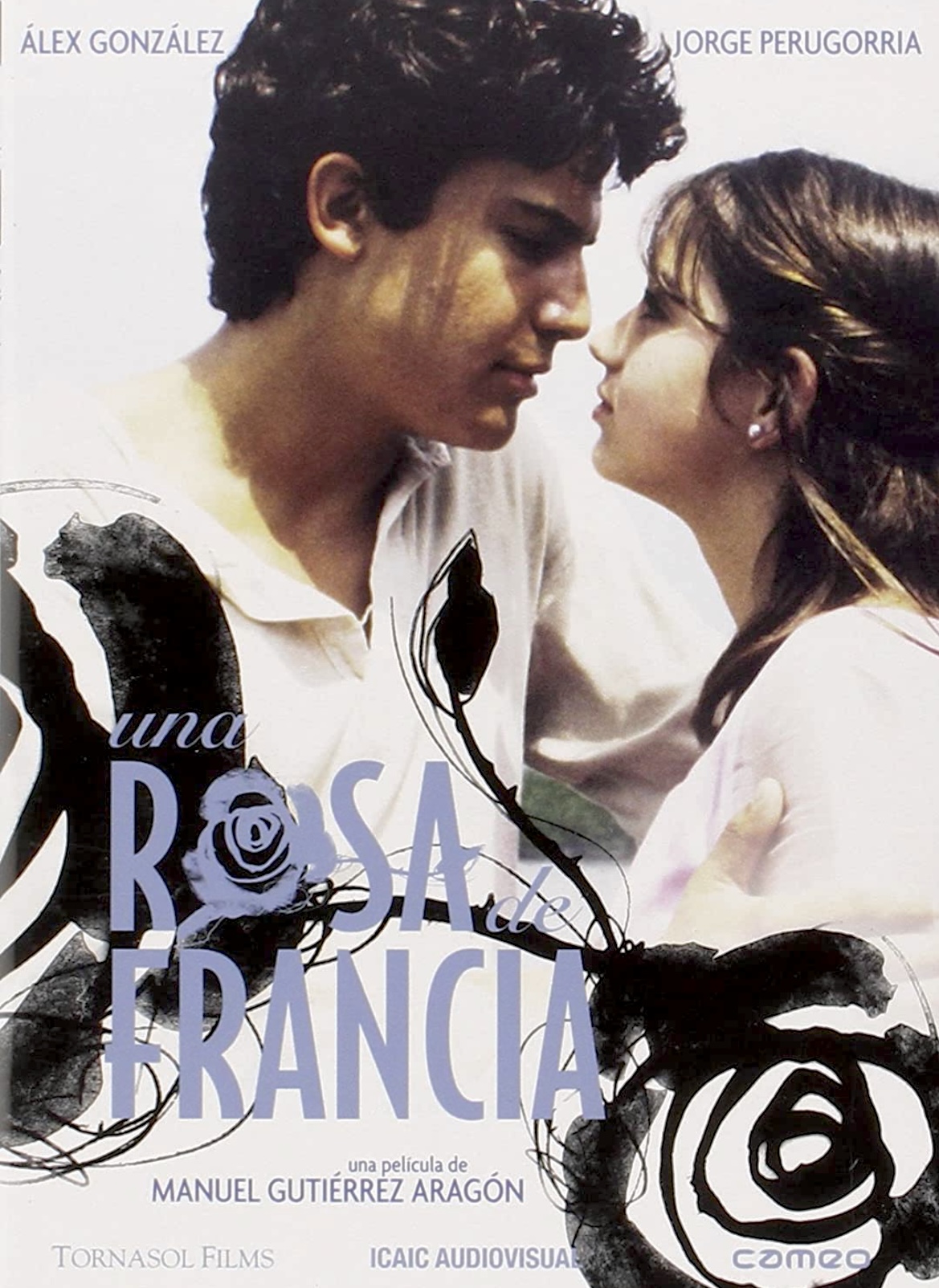 постер Роза Франции